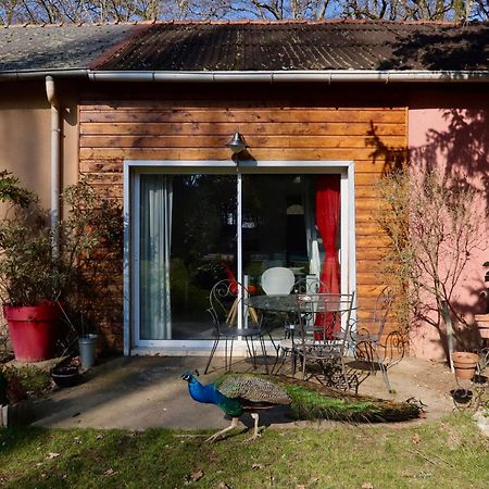 La Faisanderie Saint-Florent-sur-Cher Luaran gambar