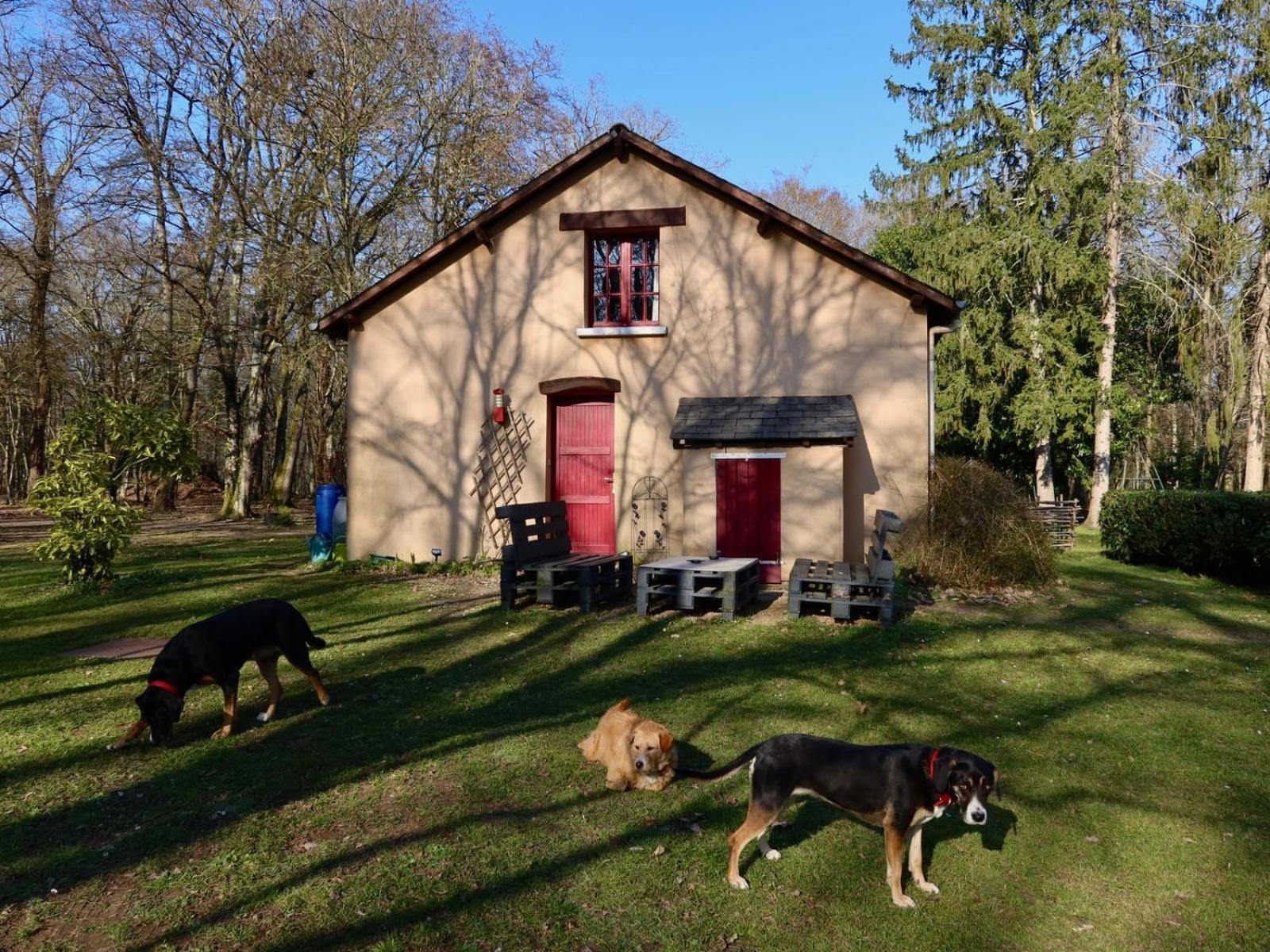 La Faisanderie Saint-Florent-sur-Cher Luaran gambar